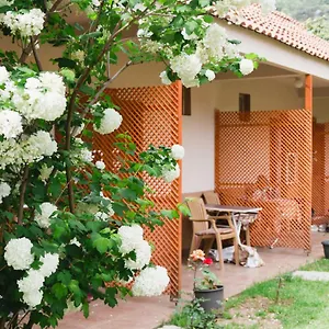Village Garden Анталья